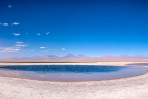 Salar de Atacama, Laguna Céjar, Chile