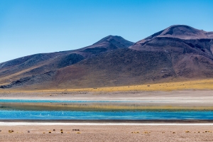 Laguna Miscanti, Antofagasta, Chile